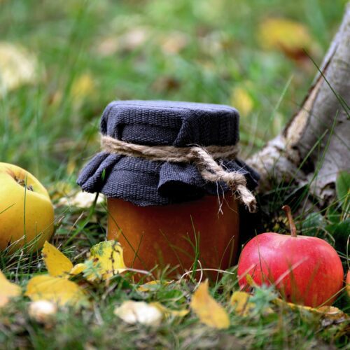 Jar of apple chutney sitting amongst windfall apples under apple tree