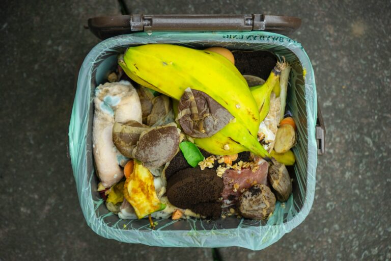 Bin of food waste seen from the top