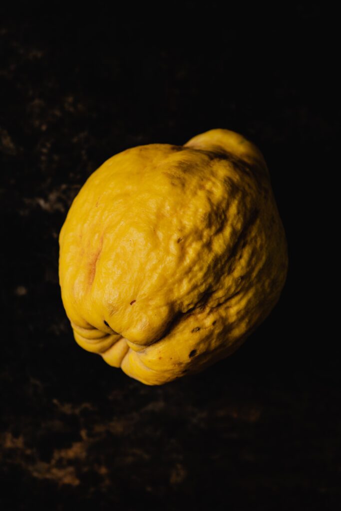 a single large yellow quince fruit on a dark table