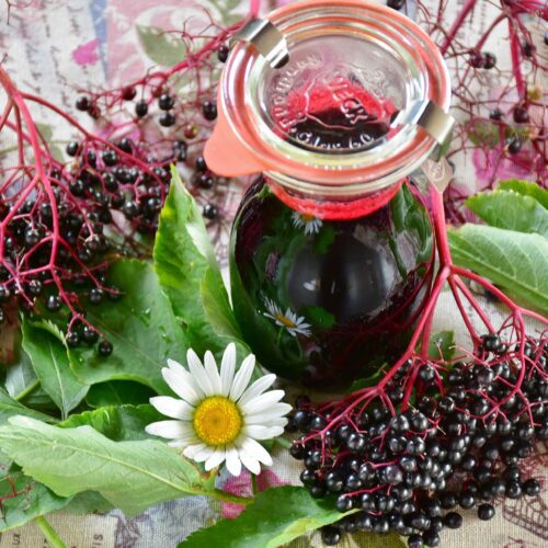 Set on a wooden table, an arrangement of green leaves with bunches of black elderberries in foreground and background. A lidded bottle of elderberry cordial with a white daisy to the left front side.