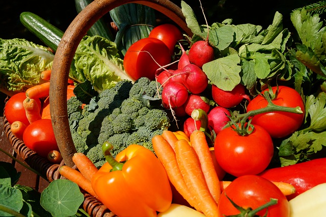 A glut of vegetable plot harvest in a basket