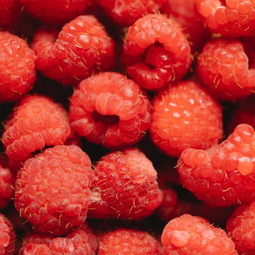 Fresh raspberries