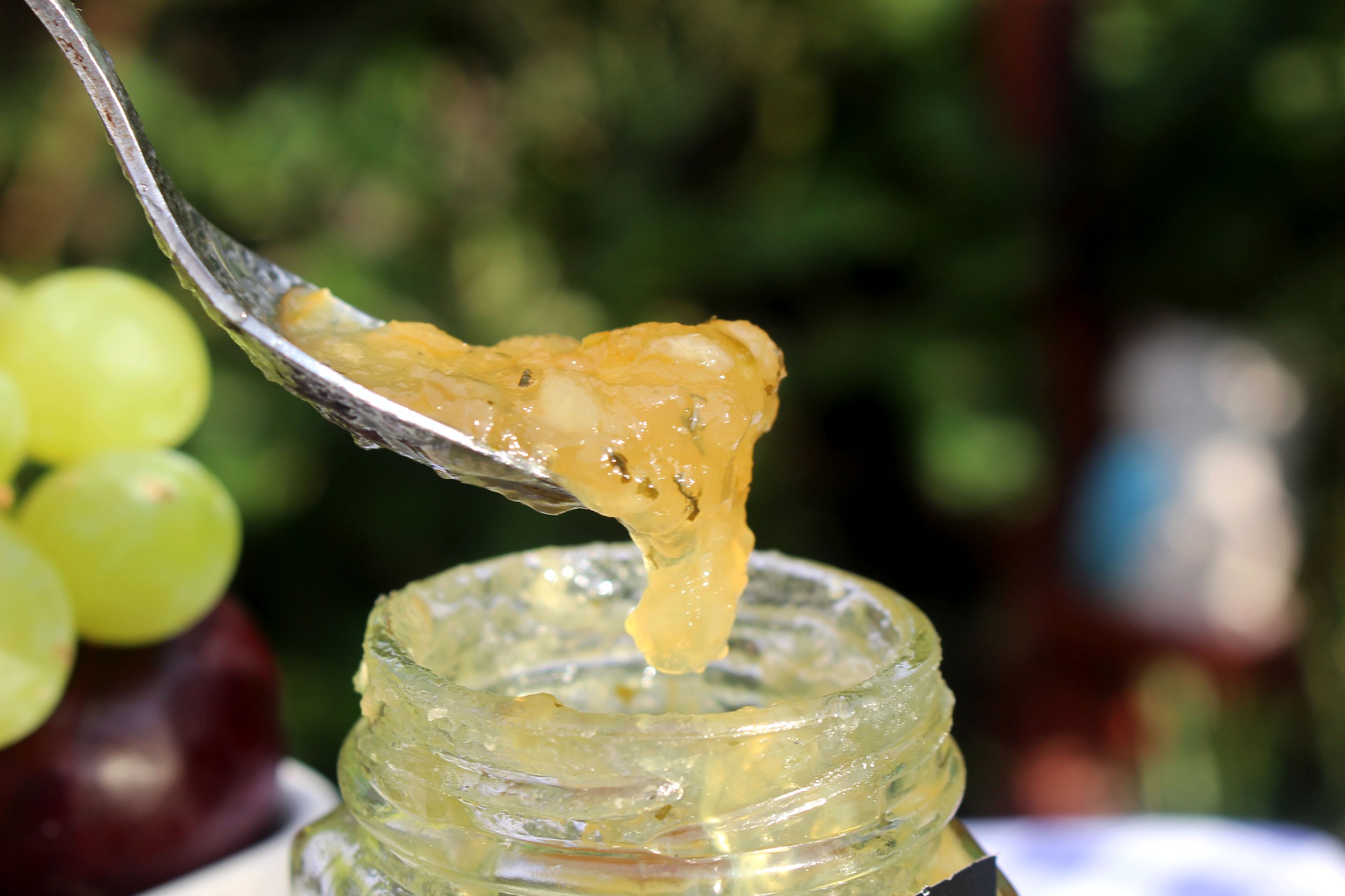 Pectin Concentration in Different Fruits - Picklishus
